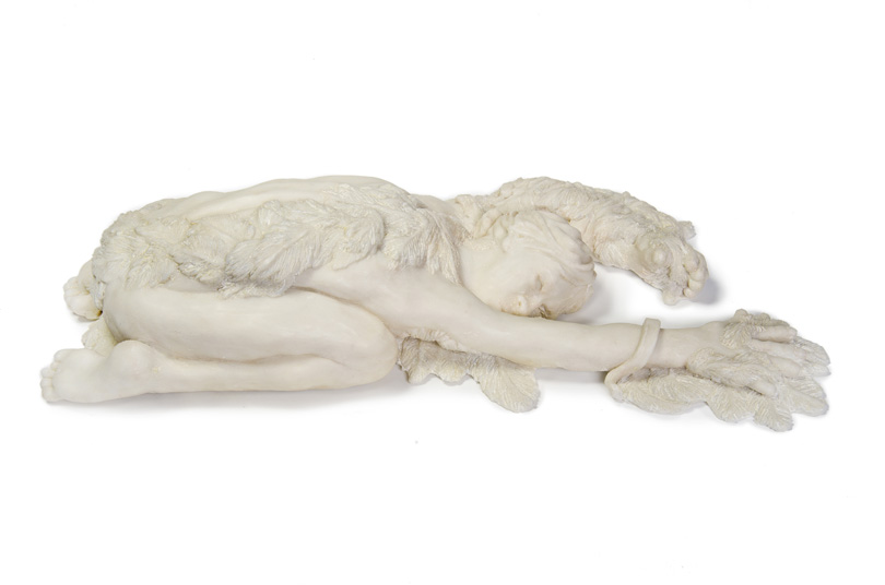 ICARUS by Janet Hunter