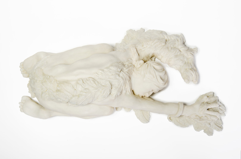 ICARUS by Janet Hunter